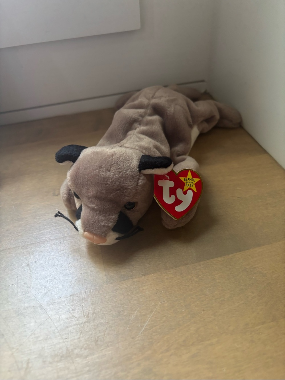 Ty beanie baby Canyon